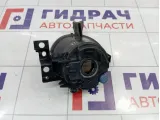 Фара противотуманная правая Porsche Cayenne (9PA) 95563116601
