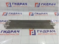 Радиатор масляный Porsche Cayenne (9PA) 95530701702