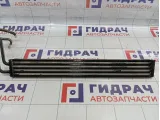 Радиатор гидроусилителя Porsche Cayenne (9PA) 95534706903