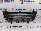 Решетка в бампер центральная Porsche Cayenne (9PA) 955505683109B9