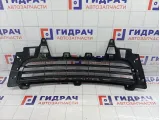 Решетка в бампер центральная Porsche Cayenne (9PA) 955505683109B9