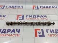 Распредвал выпускной Porsche Cayenne (9PA) 95510524200