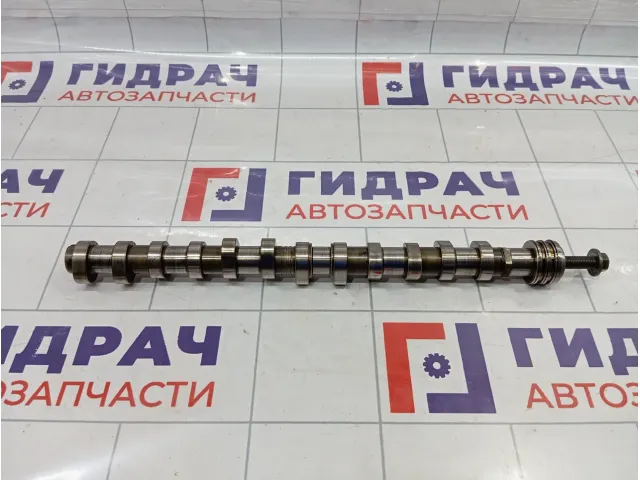 Распредвал выпускной Porsche Cayenne (9PA) 95510524200