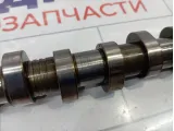 Распредвал выпускной Porsche Cayenne (9PA) 95510524200