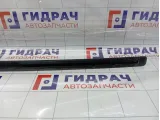 Молдинг крыши левый Porsche Cayenne (9PA) 95555915101