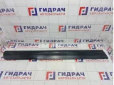 Накладка двери передней левой Porsche Cayenne (9PA) 95555966501G2X