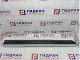 Накладка двери передней левой Porsche Cayenne (9PA) 95555966501G2X