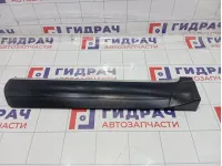 Накладка двери задней левой Porsche Cayenne (9PA) 95555968102G2X