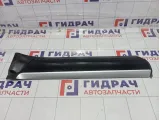 Накладка двери задней левой Porsche Cayenne (9PA) 95555968102G2X
