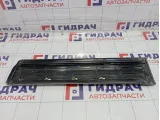 Накладка двери задней левой Porsche Cayenne (9PA) 95555968102G2X