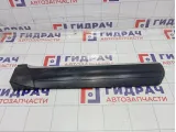 Накладка двери задней правой Porsche Cayenne (9PA) 95555968202G2X