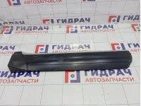 Накладка двери задней правой Porsche Cayenne (9PA) 95555968202G2X