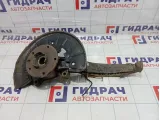 Кулак поворотный передний правый Porsche Cayenne (9PA) 95534115610