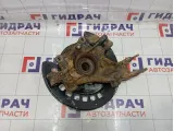 Кулак поворотный задний левый Porsche Cayenne (9PA) 95533161120