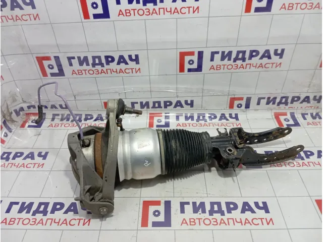 Амортизатор передний левый Porsche Cayenne (9PA) 95535803900