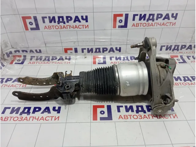 Амортизатор передний правый Porsche Cayenne (9PA) 95535804000