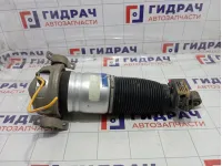 Амортизатор задний правый Porsche Cayenne (9PA) 95535802000