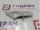 Повторитель поворота правый Porsche Cayenne (9PA) 95563103601