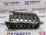 Головка блока цилиндров Porsche Cayenne (9PA) 95510490110