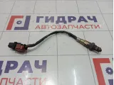 Датчик кислородный Porsche Cayenne (9PA) 95560612930