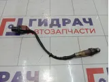 Датчик кислородный Porsche Cayenne (9PA) 95560612930