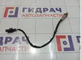 Датчик кислородный Porsche Cayenne (9PA) 95560613730