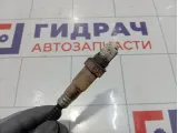 Датчик кислородный Porsche Cayenne (9PA) 95560613730