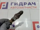 Датчик кислородный Porsche Cayenne (9PA) 95560613630