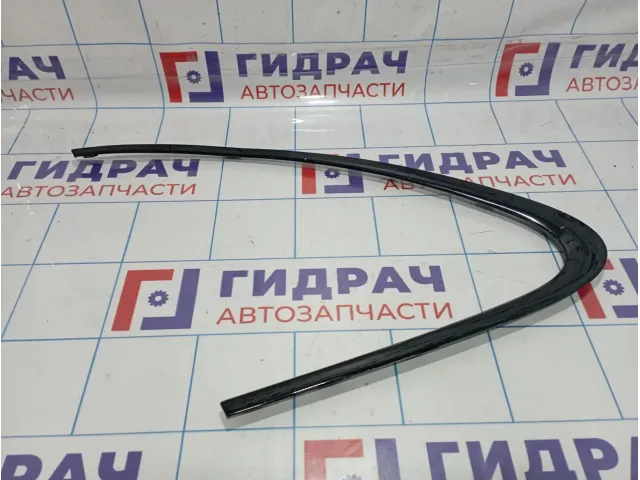 Накладка стекла глухого левого Porsche Cayenne (92A) 958559995207Z7