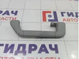 Ручка внутренняя потолочная задняя правая Porsche Cayenne (9PA) 955555606007A8