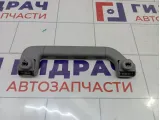 Ручка внутренняя потолочная передняя левая Porsche Cayenne (9PA) 955555607007A8