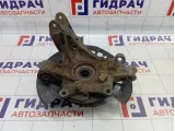 Кулак поворотный задний левый Porsche Cayenne (9PA) 95533161120