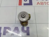Клапан кондиционера Porsche Cayenne (9PA) 95557231901