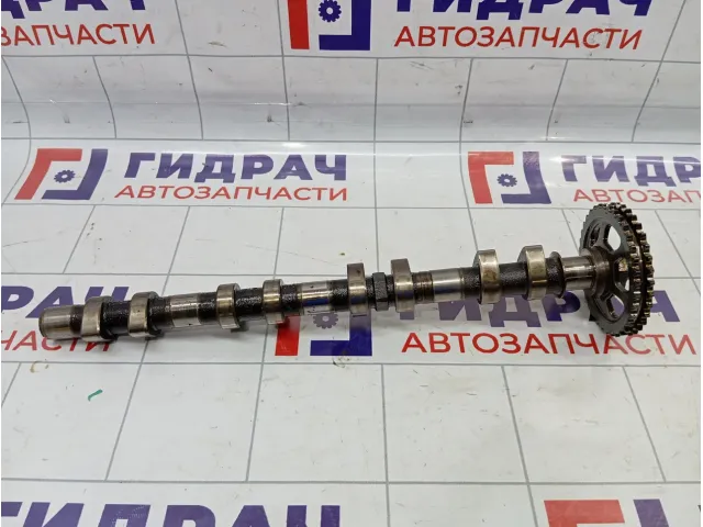 Распредвал выпускной Porsche Cayenne (9PA) 94810521204