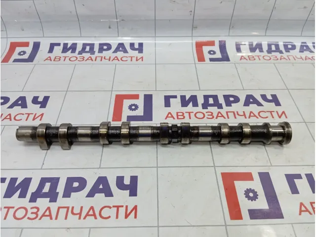 Распредвал выпускной Porsche Cayenne (9PA) 94810521204