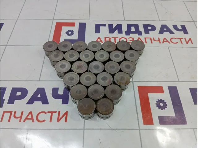 Толкатель клапана гидравлический Porsche Cayenne (9PA) 99610504172