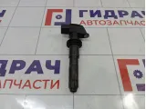 Катушка зажигания Porsche Cayenne (9PA) 94860210405