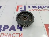 Механизм изменения фаз ГРМ Porsche Cayenne (9PA) 94810505104