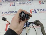 Проводка двери задней правой Porsche Cayenne (9PA) 7L5971694A