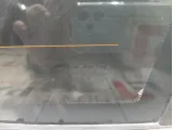 Стекло кузовное глухое правое Porsche Cayenne (9PA) 95554311219