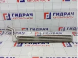 Радиатор гидроусилителя Porsche Cayenne (9PA) 95534706900