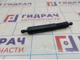 Амортизатор двери багажника Porsche Cayenne (9PA) 95551255006