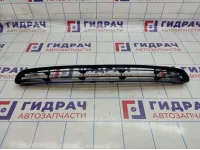 Решетка в передний бампер центральная Porsche Cayenne (9PA) 7L5807683A