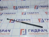 Амортизатор капота Porsche Cayenne (9PA) 95551135900