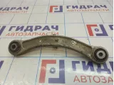 Рычаг задний верхний Porsche Cayenne (9PA) 95533104710
