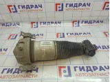 Амортизатор задний правый Porsche Cayenne (9PA) 95533303442
