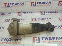 Амортизатор задний правый Porsche Cayenne (9PA) 95533303442