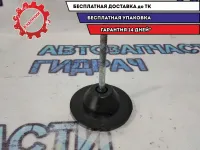 Болт крепления запасного колеса Nissan Qashqai +2 74810BM410.