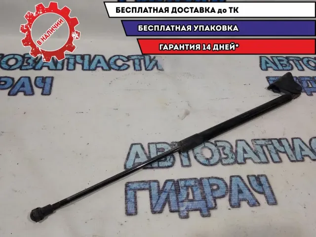 Амортизатор двери багажника Nissan Qashqai +2 90450EY10A.