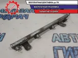 Рейка топливная (рампа) Nissan Qashqai +2 17520EE30B
